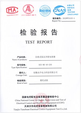 自愈式低压并联电容器检验报告