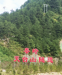 秦岭天台山隧道项目如何提高功率因数